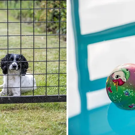 בית נופש 84247-ebeltoft-skovmarvej-13