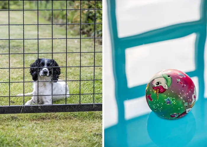 בית נופש 84247-ebeltoft-skovmarvej-13